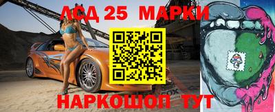 индика Заводоуковск
