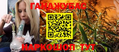 индика Заводоуковск