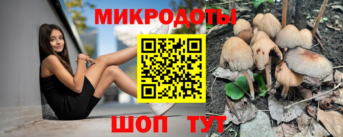 Псилоцибиновые грибы Psilocybine cubensis Малгобек